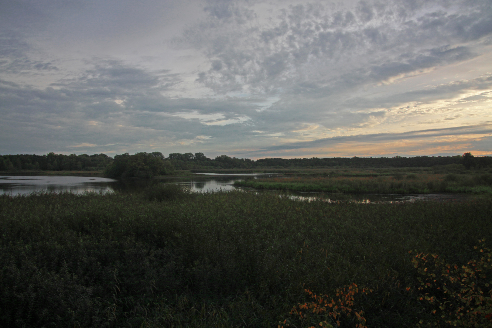 Morgendämmerung am Teich