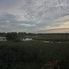 Morgendämmerung am Teich