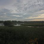 Morgendämmerung am Teich