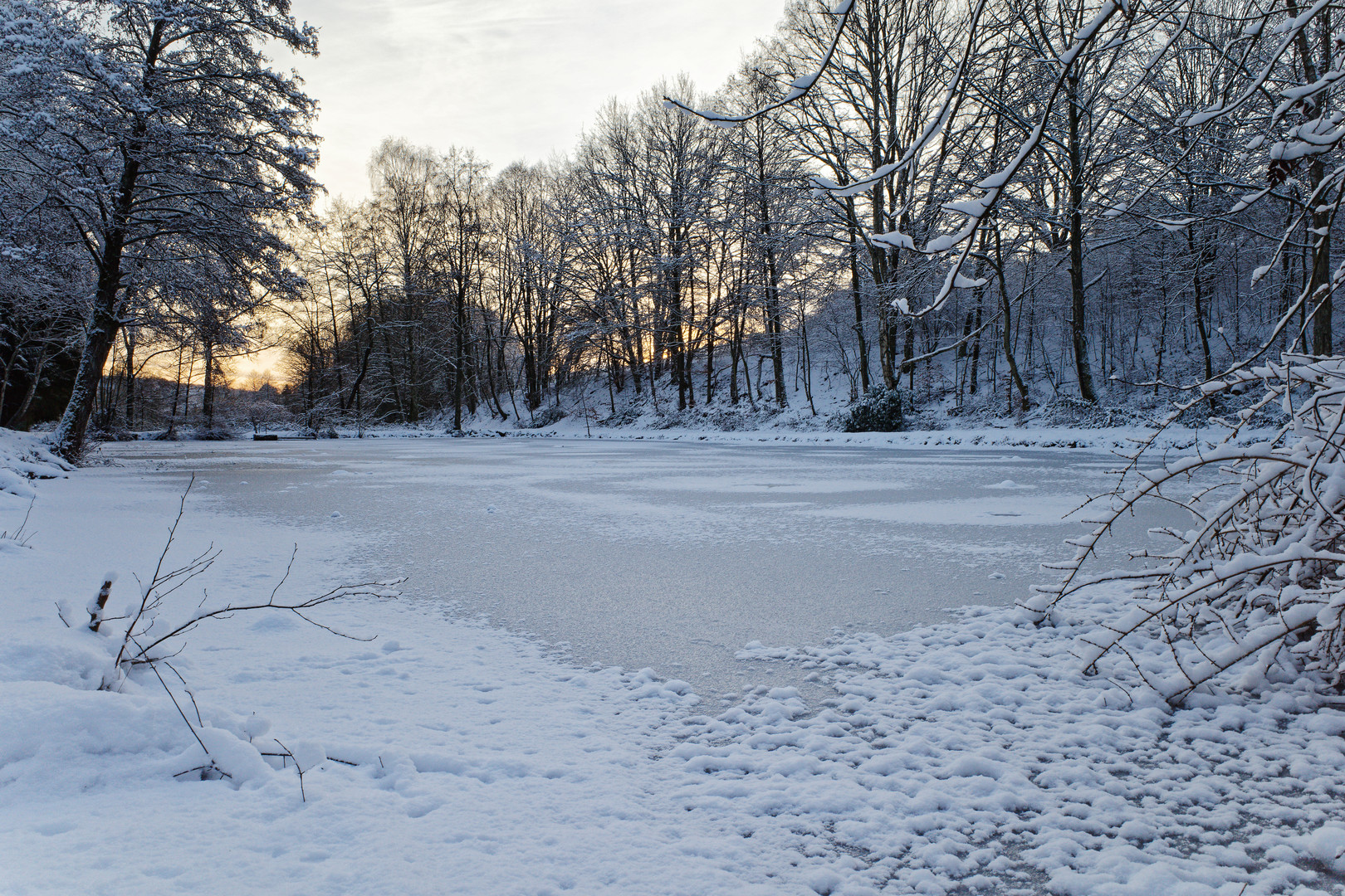 Morgendämmerung am Teich