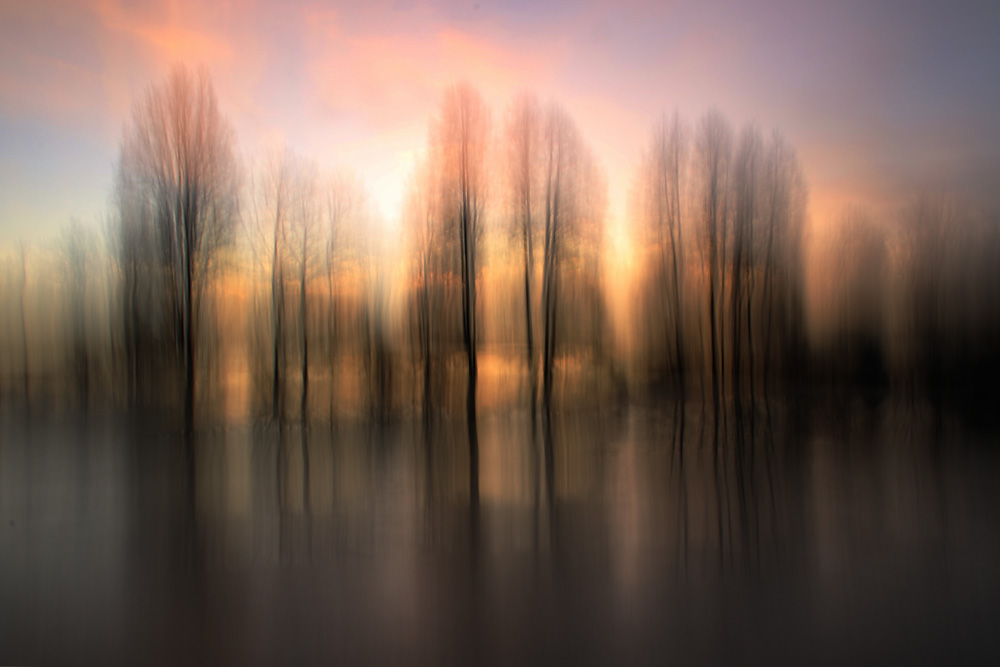 Morgendämmerung am Weiher