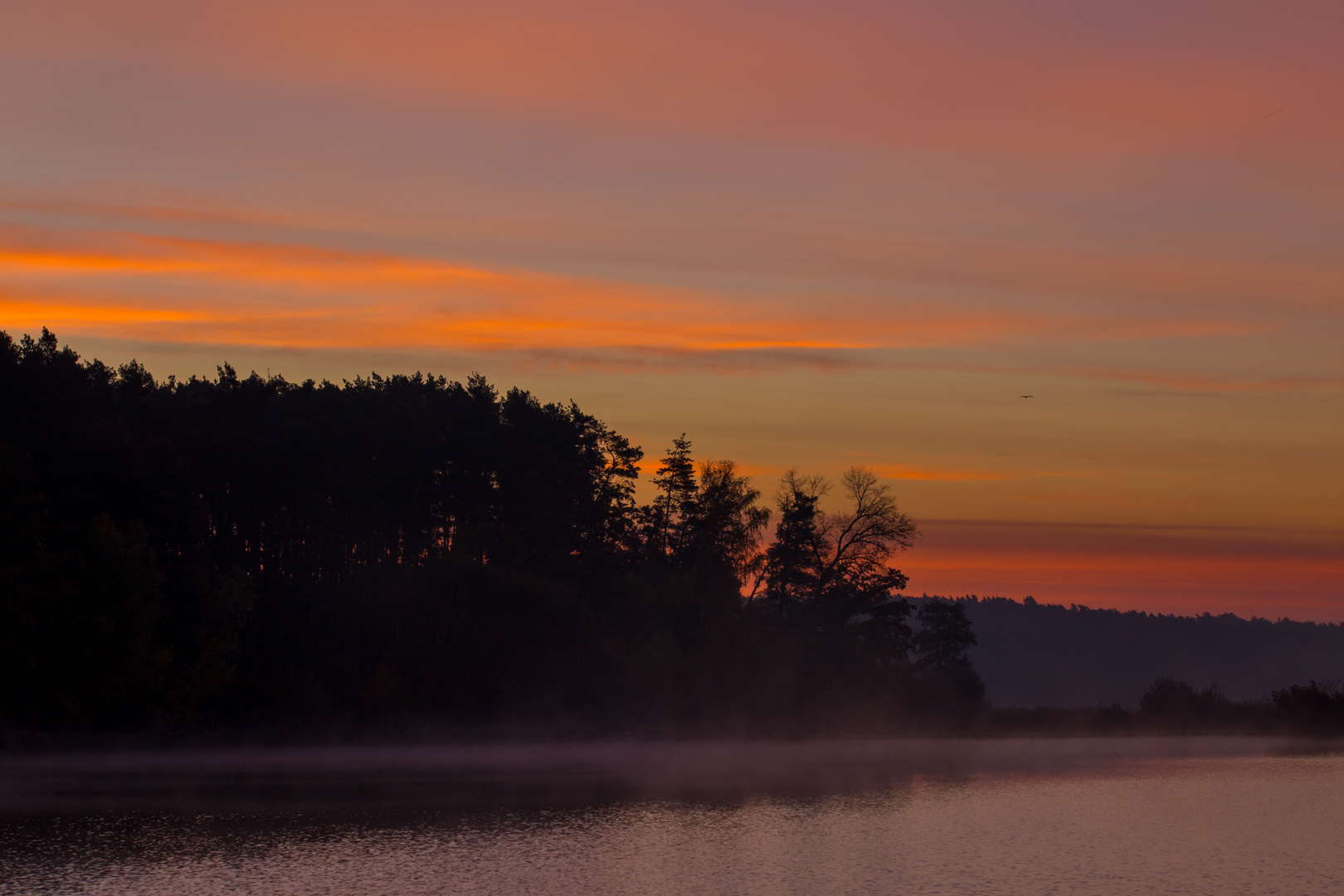 Morgendämmerung am Weiher