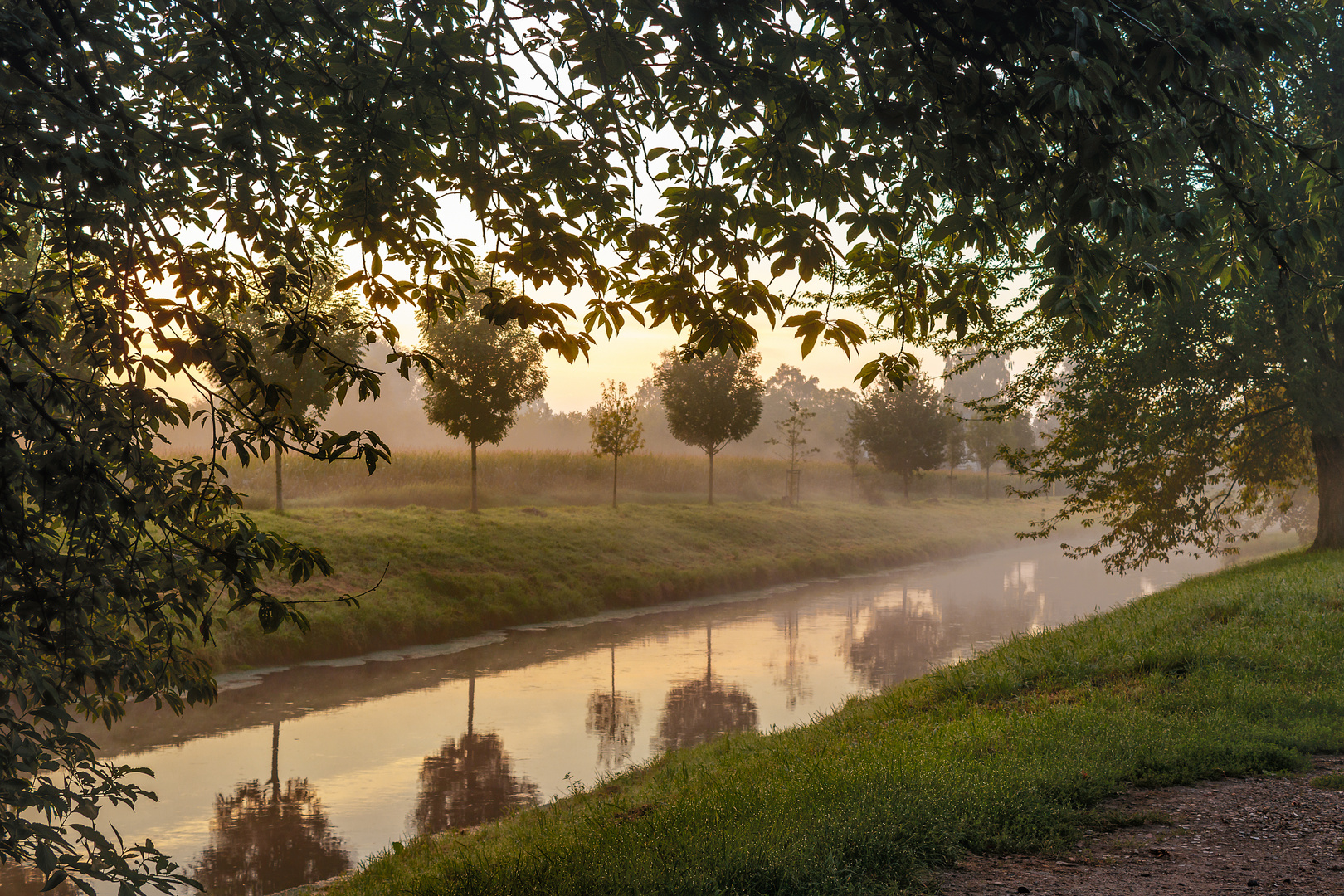 Morgendämmerung an der Niers