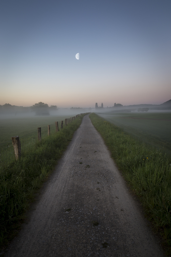 Morgendämmerung an der Ruhr