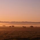 Morgendämmerung an einem kalten Oktobertag