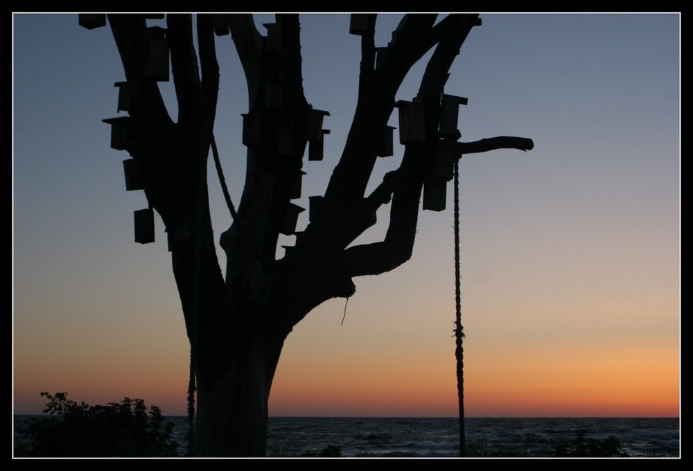 Morgendämmerung auf Bornholm