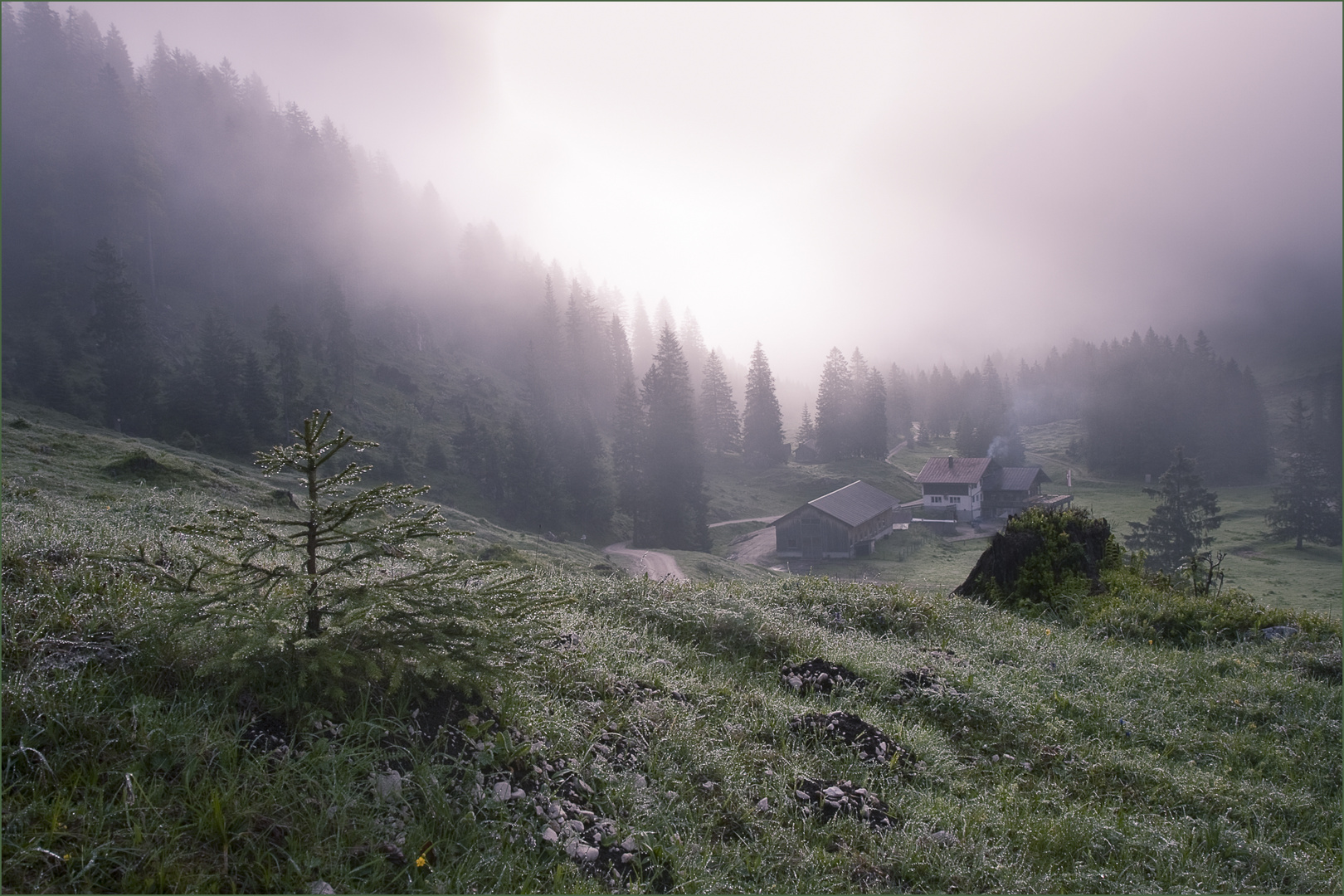 Morgendämmerung auf der Musauer Alm