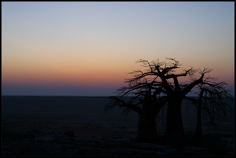 Morgendämmerung auf Kubu Island