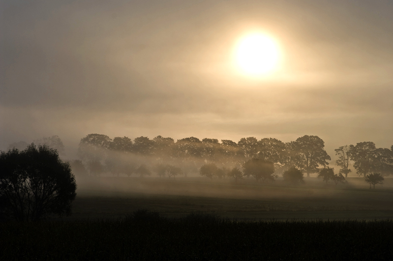 Morgendämmerung