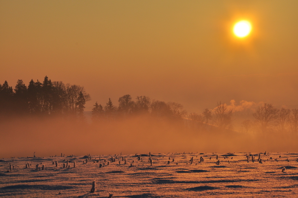 Morgendämmerung