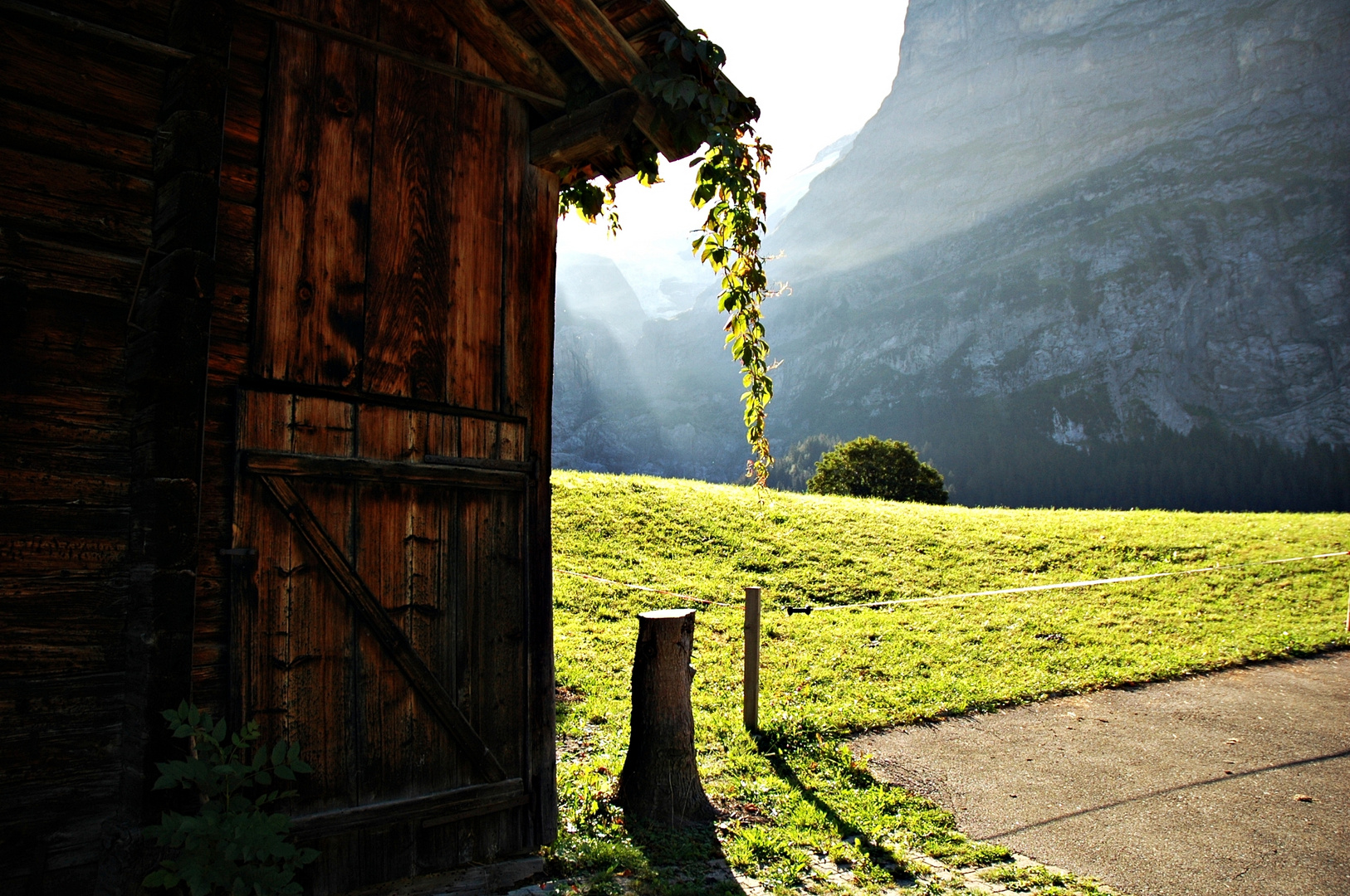 Morgendämmerung