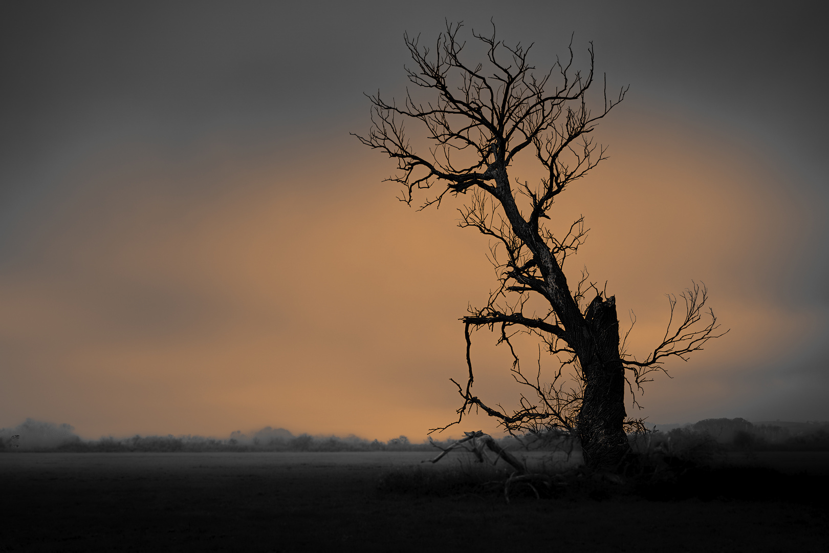 Morgendämmerung