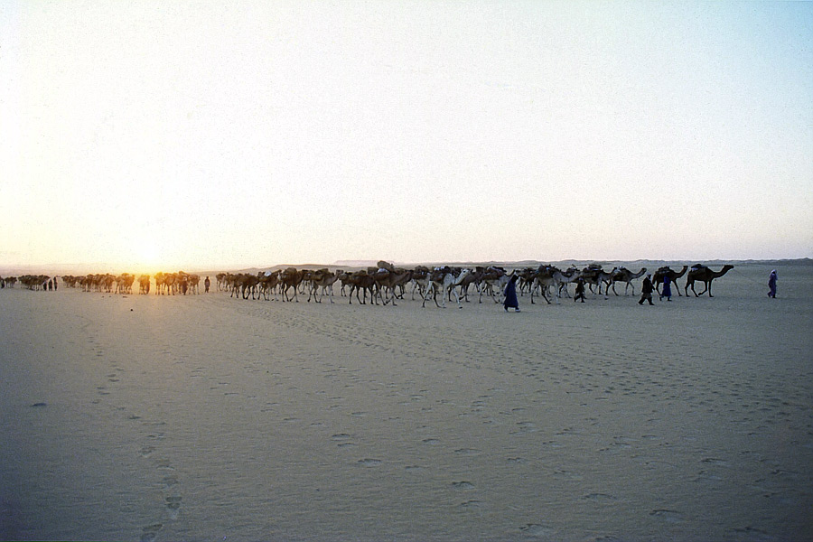 Morgendämmerung