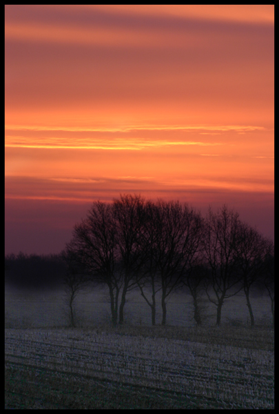 Morgendämmerung