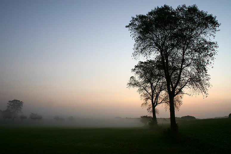 Morgendämmerung