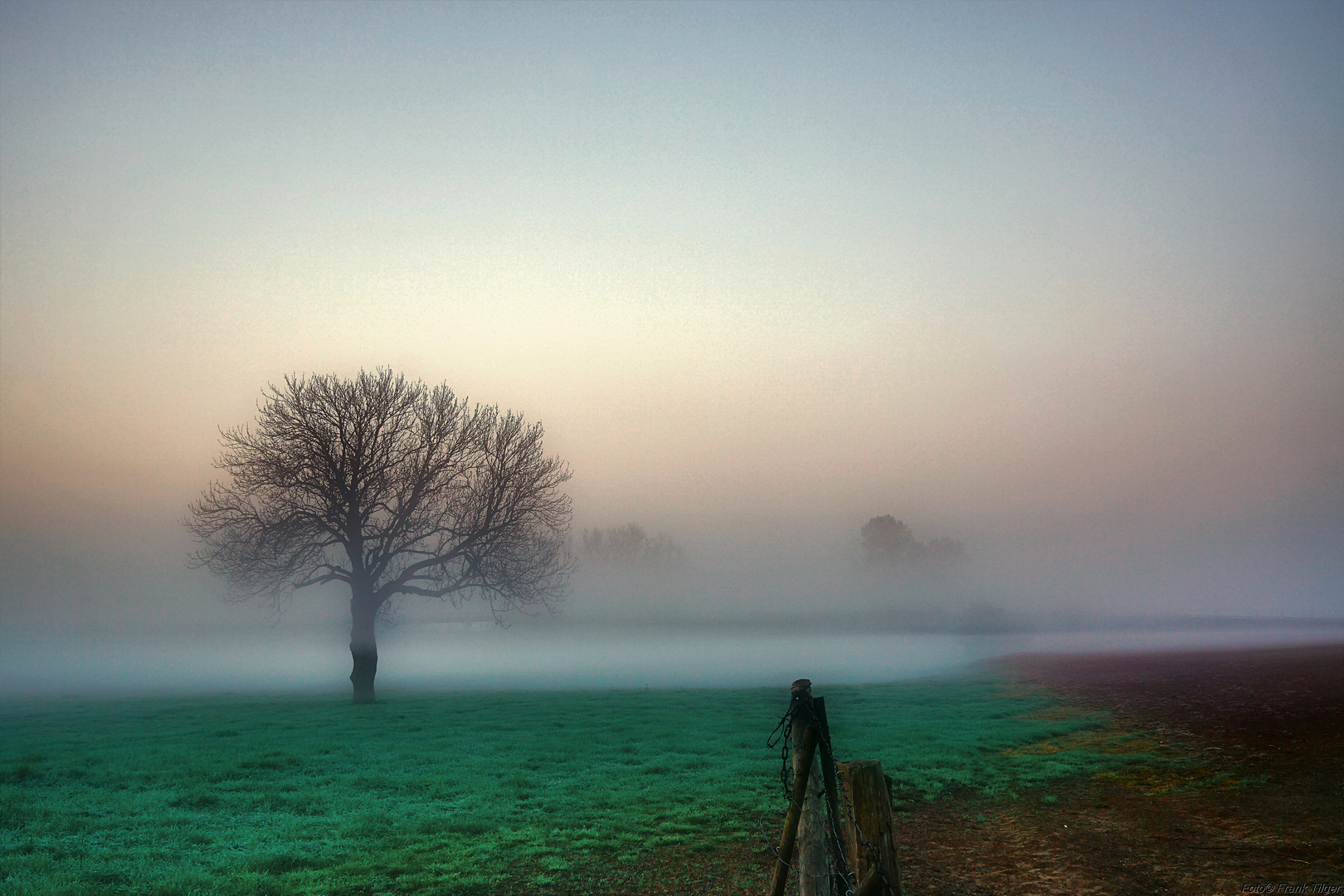 Morgendämmerung................