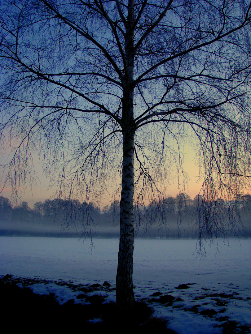 morgendämmerung