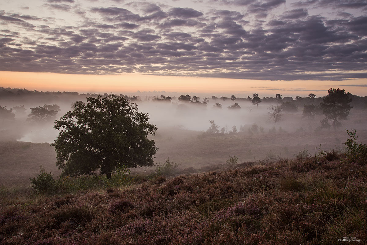 Morgendämmerung