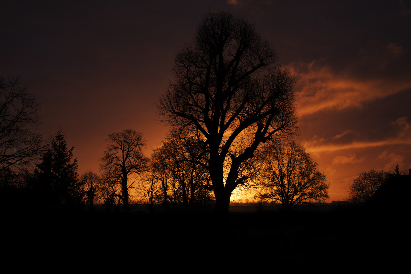 Morgendämmerung