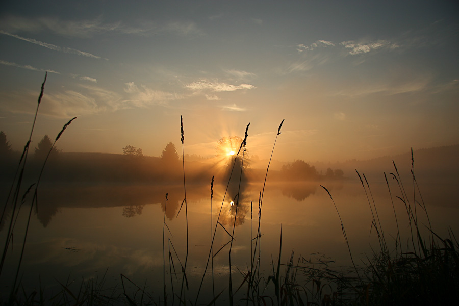 Morgendämmerung die 2te