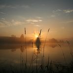 Morgendämmerung die 2te