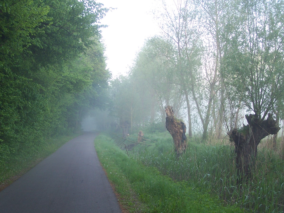 .....Morgendämmerung