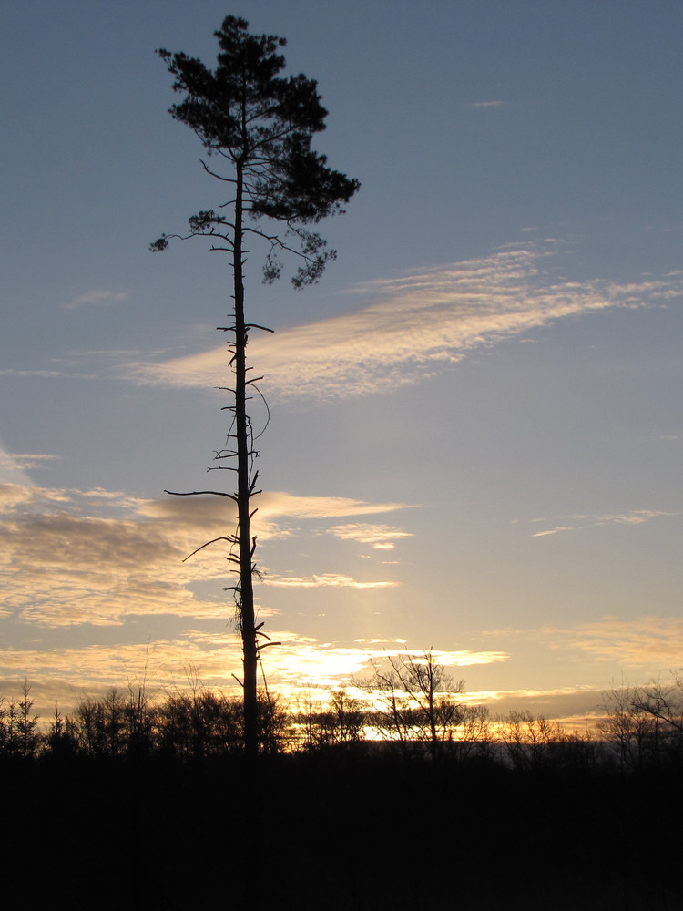 Morgendämmerung