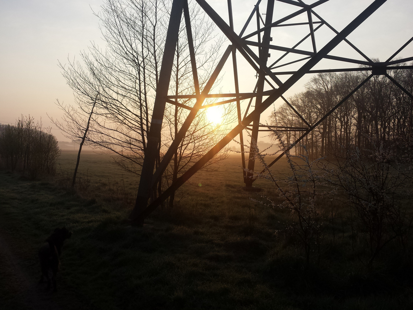 Morgendämmerung