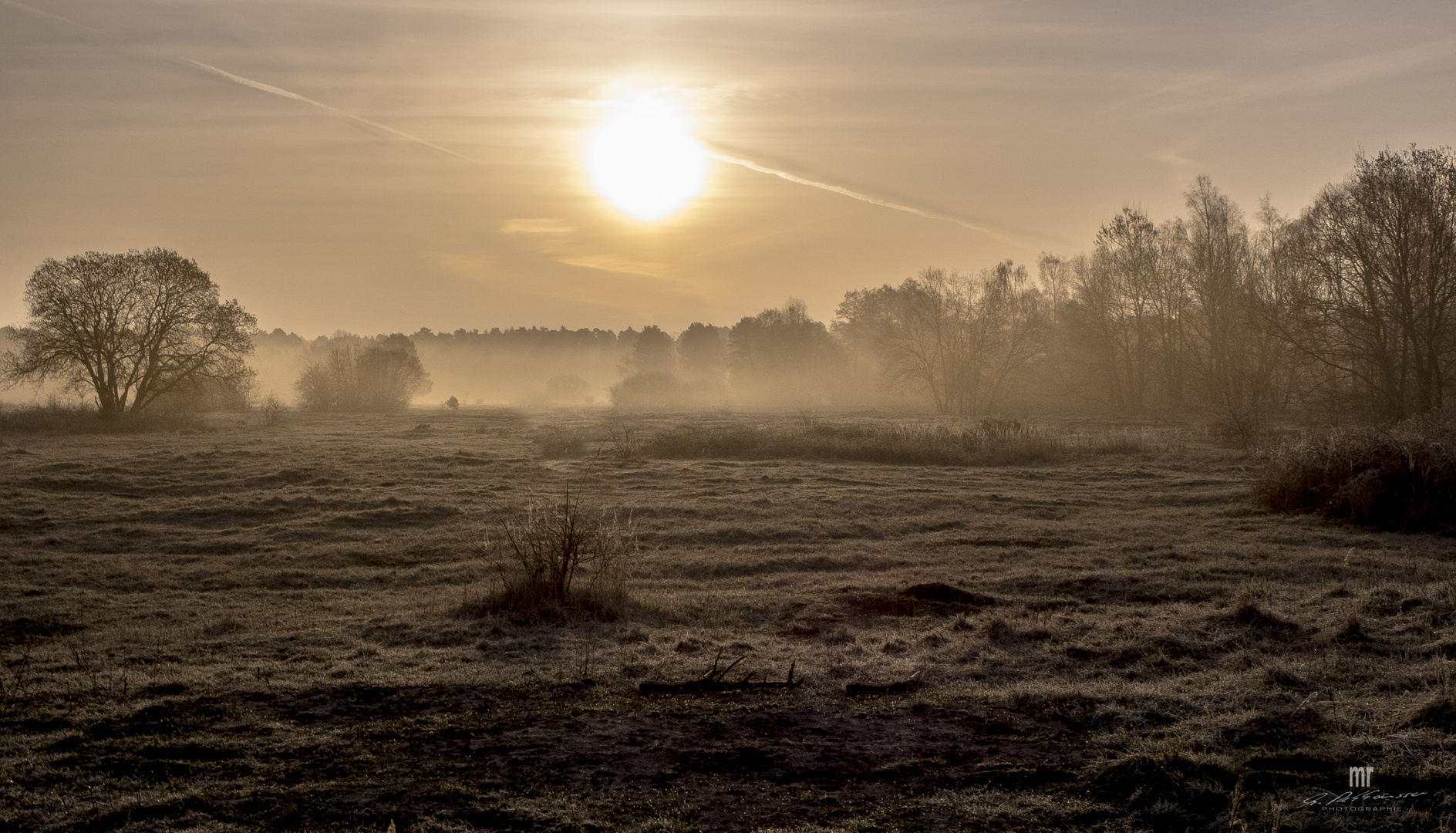 Morgendämmerung