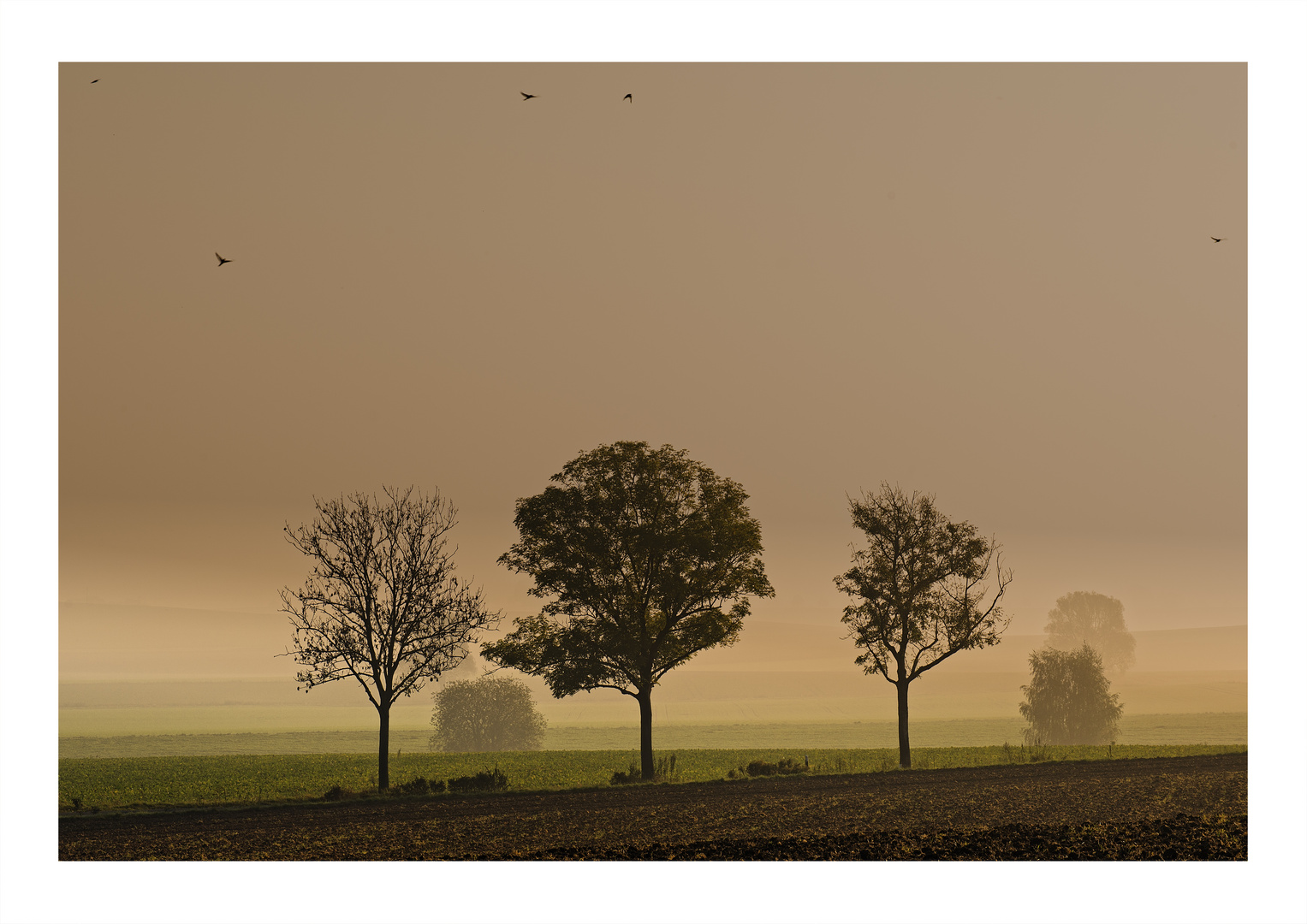 Morgendämmerung