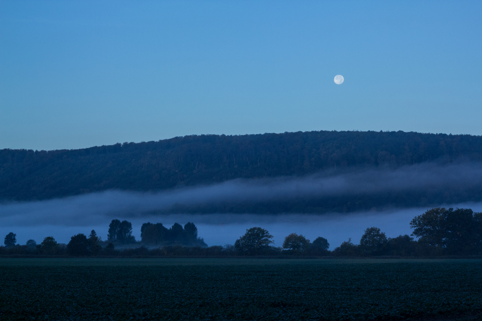 Morgendämmerung