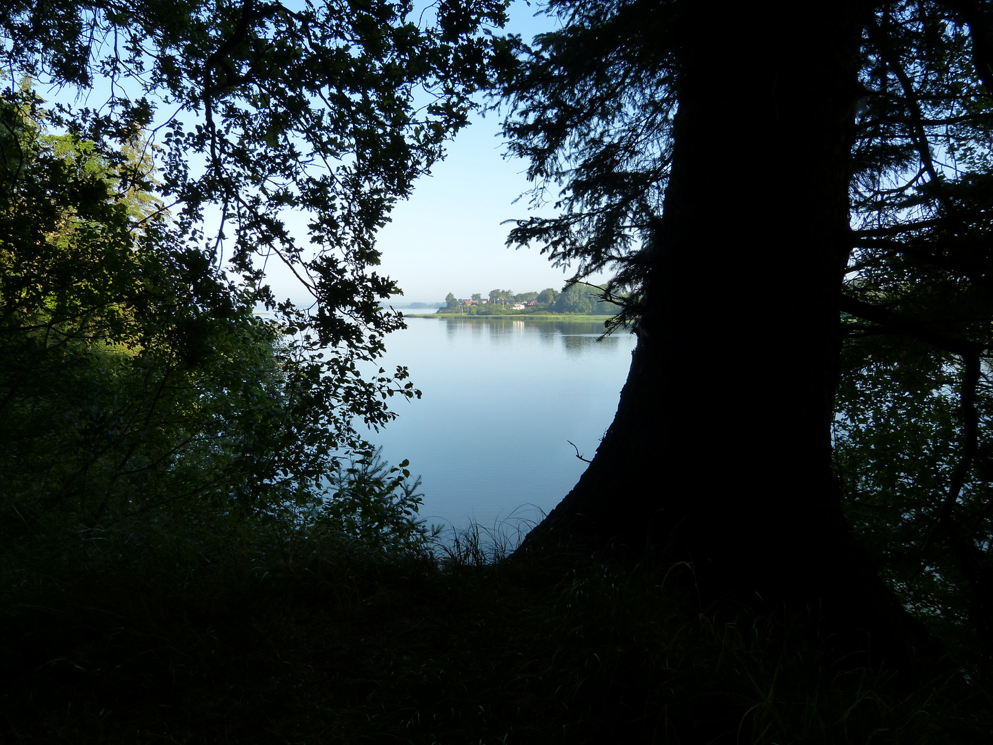 Morgendämmerung (gedämpft) ...