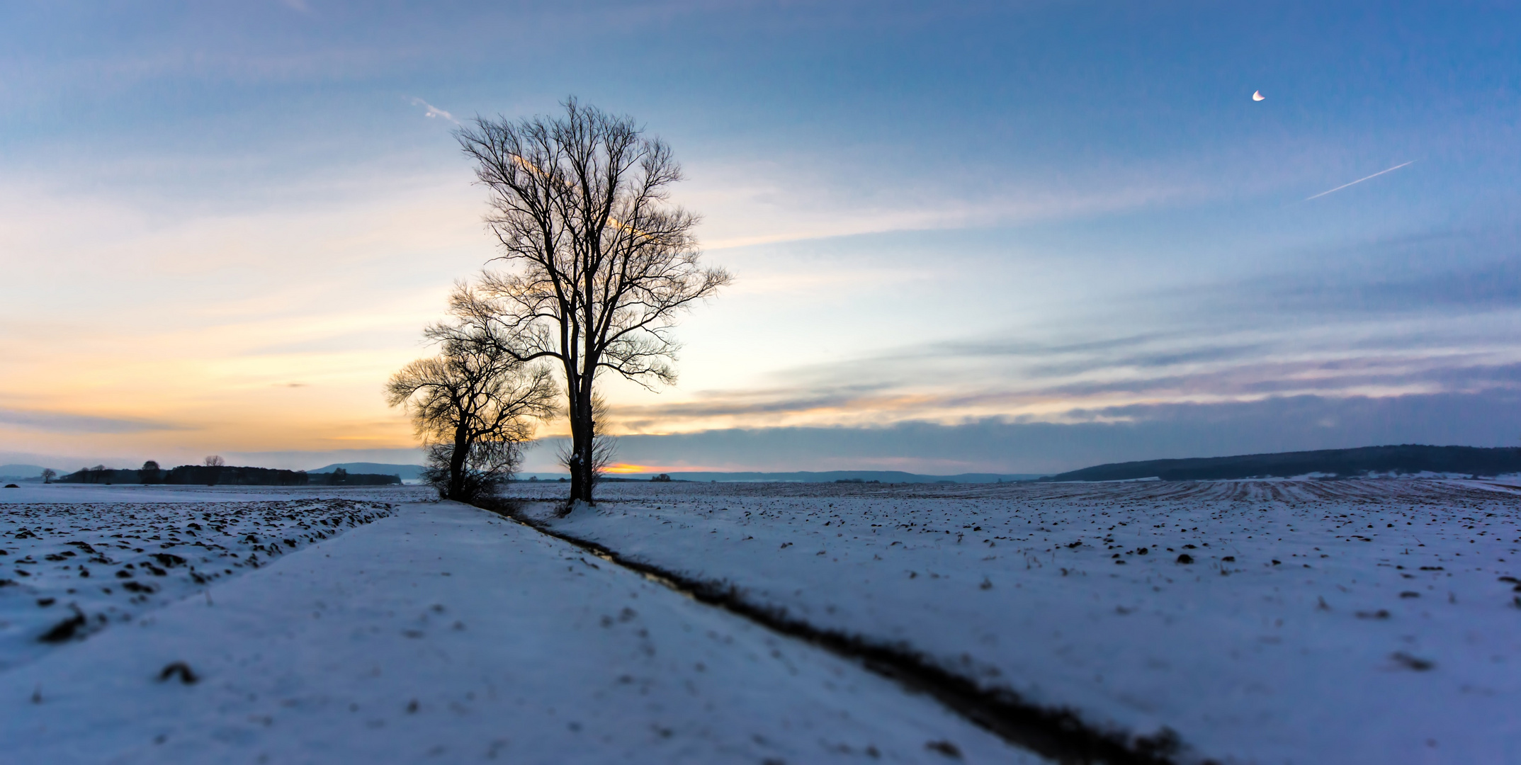 Morgendämmerung I