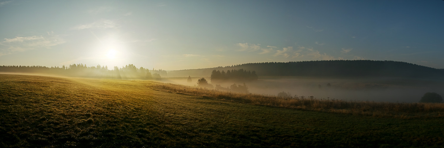 Morgendämmerung II