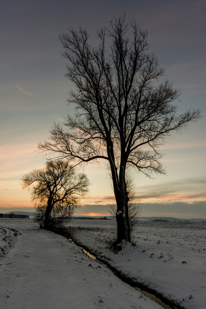 Morgendämmerung II