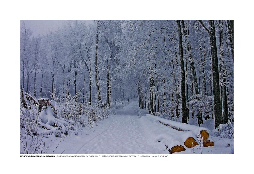 MORGENDÄMMERUNG IM EISWALD