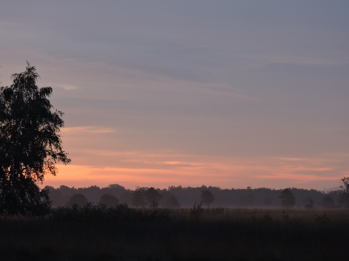 Morgendämmerung im Großen Torfmoor bei Hille