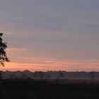 Morgendämmerung im Großen Torfmoor bei Hille