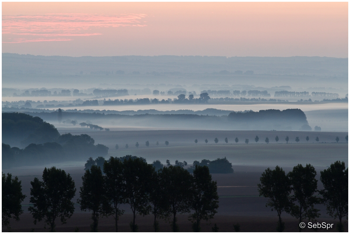 | Morgendämmerung im Hainich Nationalpark |