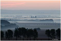 | Morgendämmerung im Hainich Nationalpark |