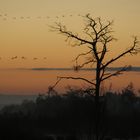 Morgendämmerung im Moor