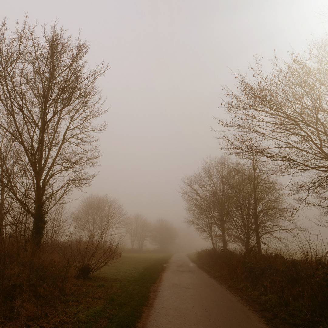 Morgendämmerung im Nebel