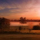 Morgendämmerung im Nebel