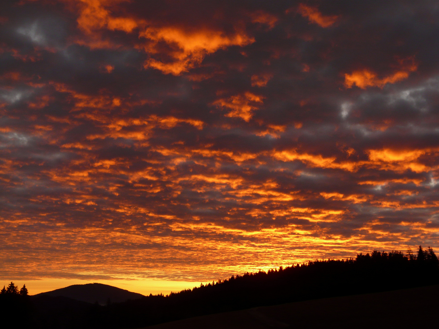 Morgendämmerung im Schwarzwald