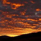 Morgendämmerung im Schwarzwald