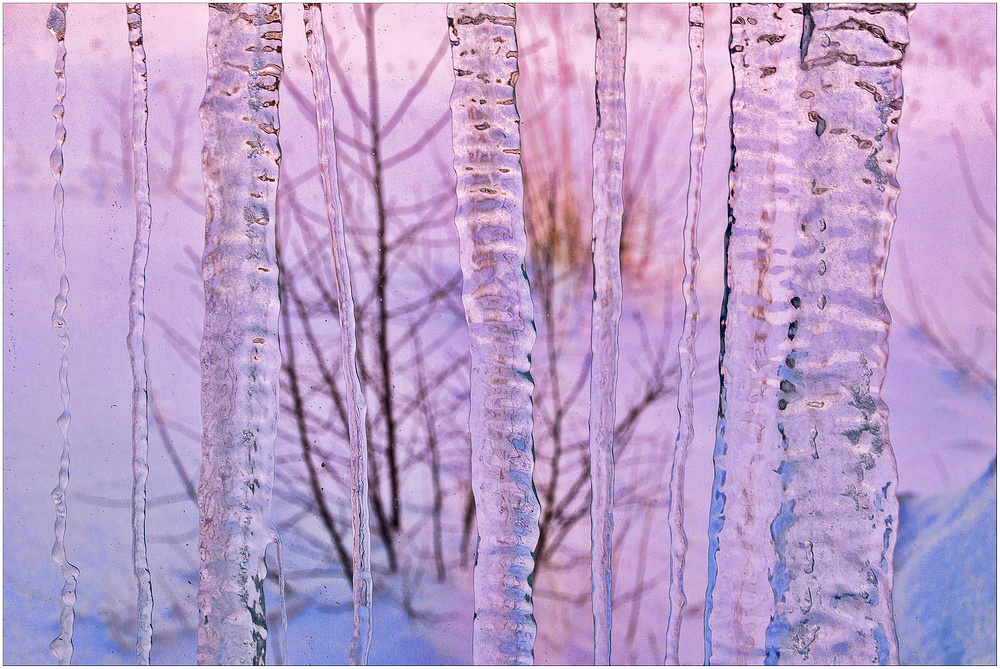 ~ Morgendämmerung im Winter ~