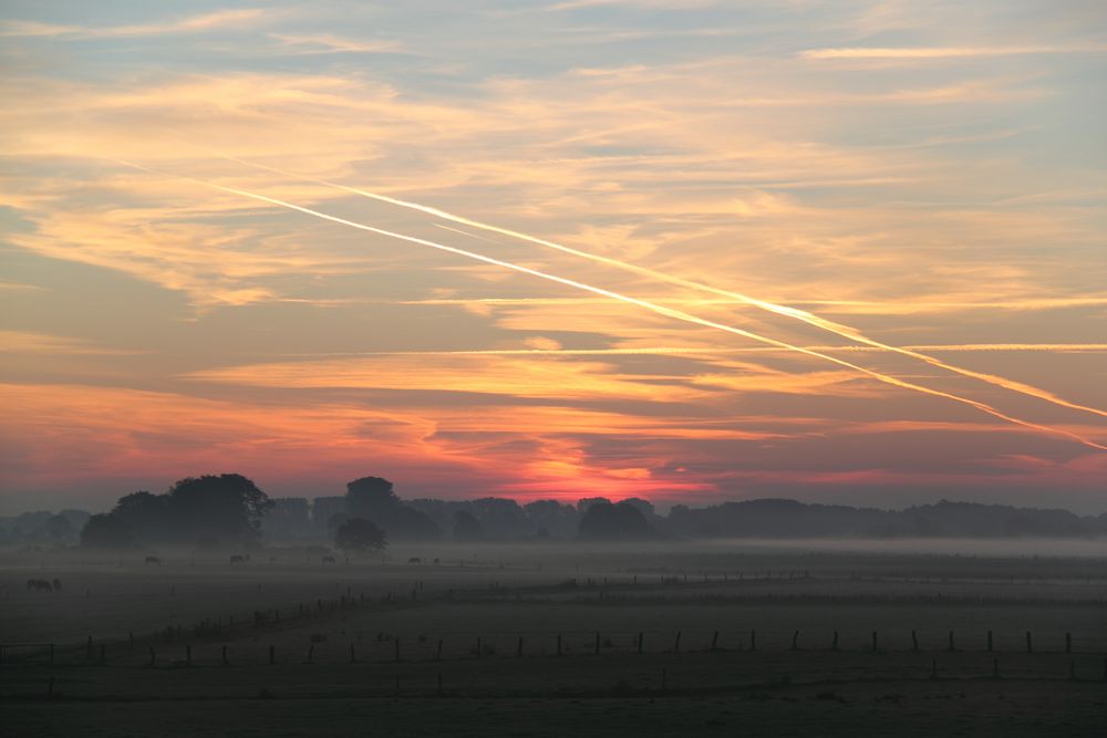 Morgendämmerung in den Lippeauen