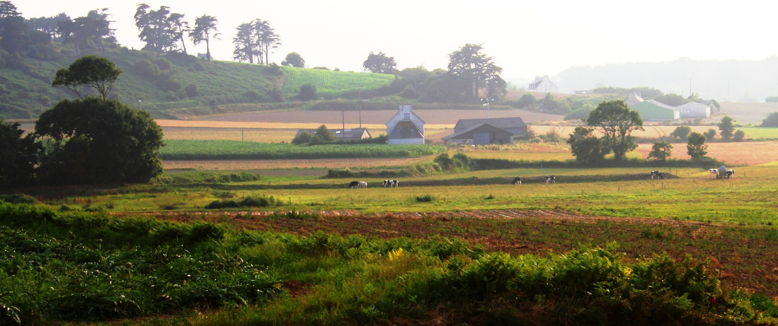 Morgendämmerung in der Bretagne