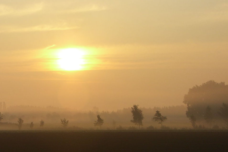 Morgendämmerung in der Heide