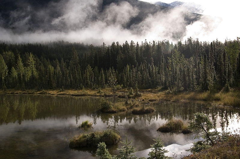 Morgendämmerung in der Nähe des Moose Lakes